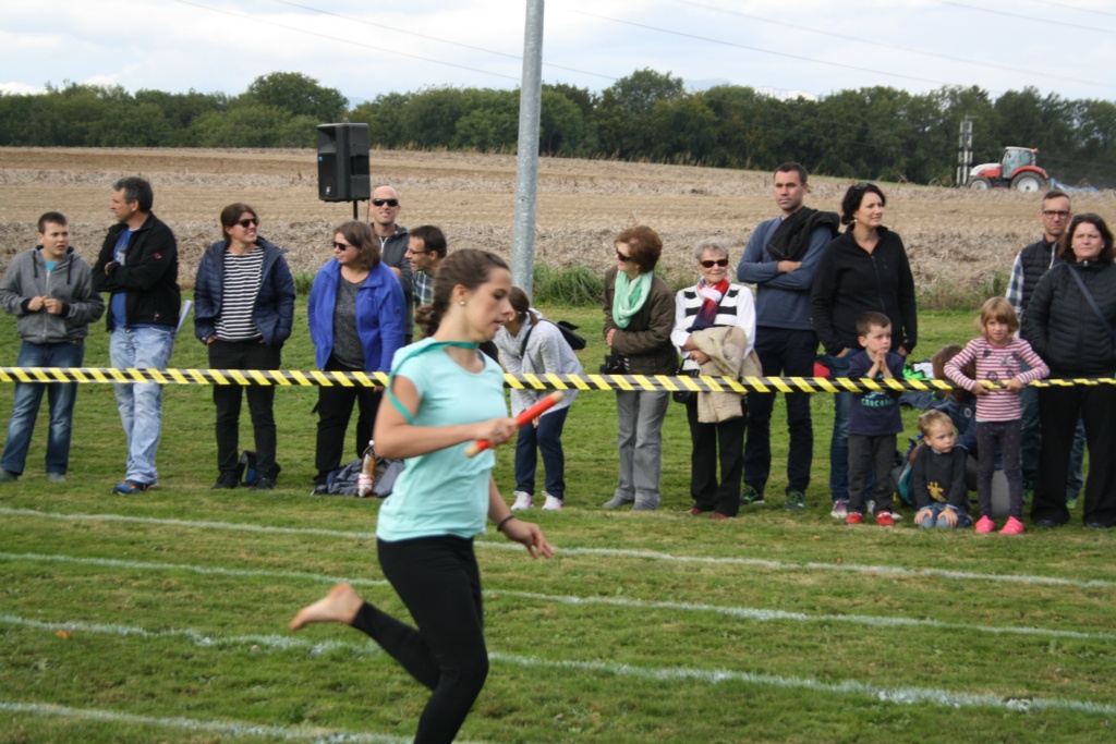 Bild 1 (131)